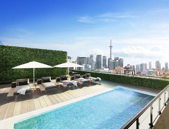 MRKT Alexandra Park Condos Pool