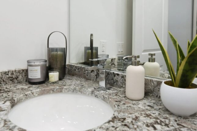 ParkWest Condos Bathroom