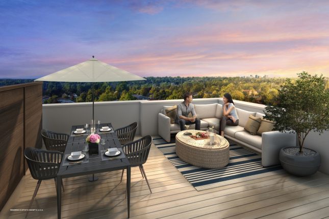 NY Walk Towns Rendering Rooftop