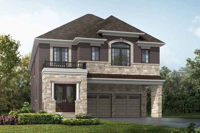 Springwater Towns Rendering