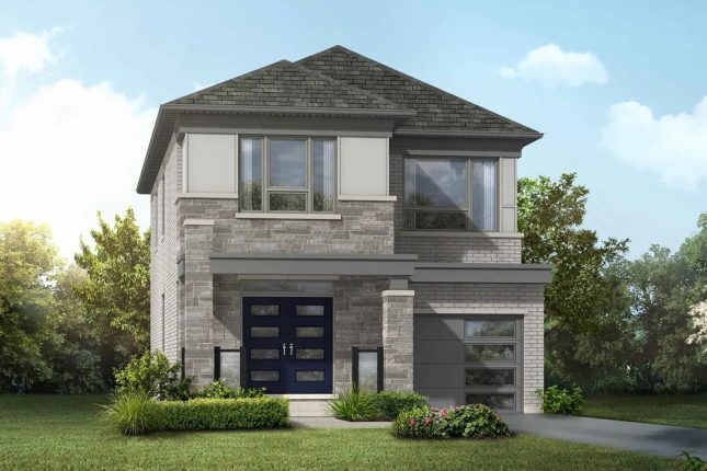 Springwater Towns Rendering