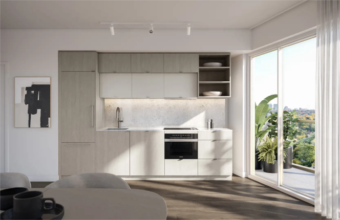 Park Road Condos Kitchen