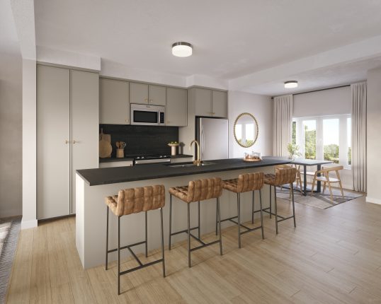 Lackner Ridge Towns Kitchen Walkup