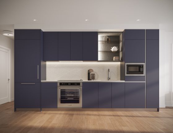 Maxium Condos Kitchen Indigo